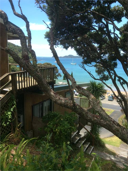 E. side access. Looking NE.