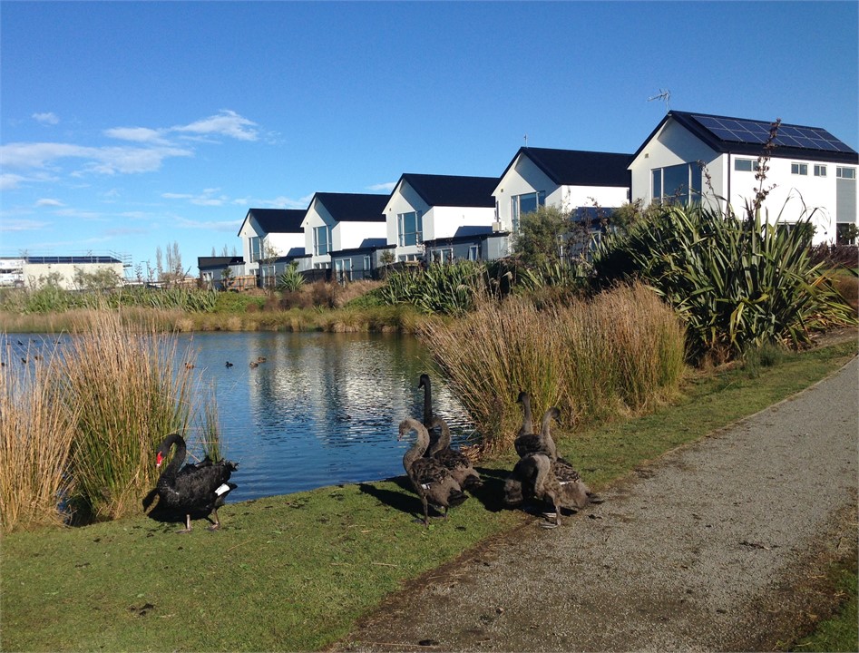 Enjoy a walk around the subdivision