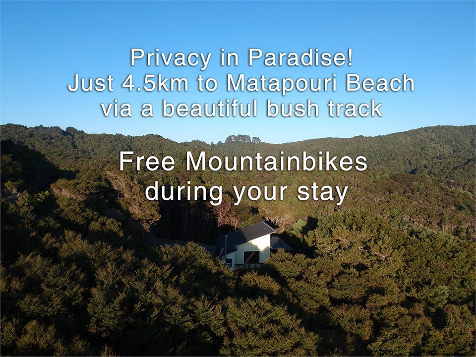 Waiotoi - The Bush Hideaway