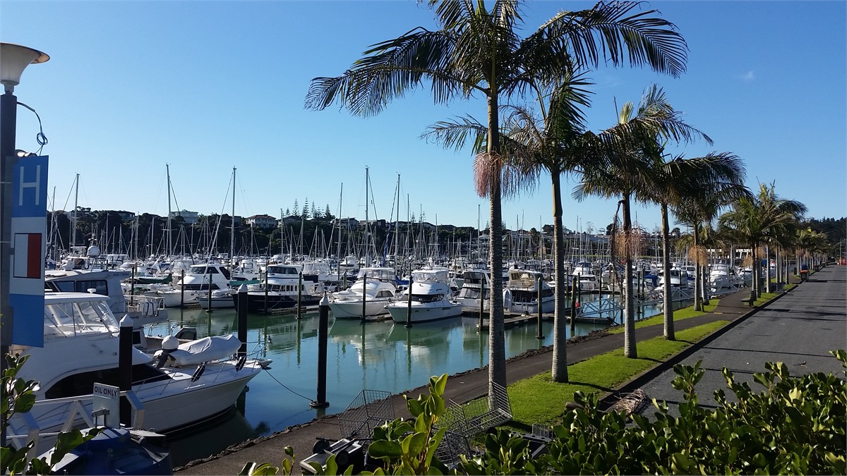 Local Pine Harbour Marina