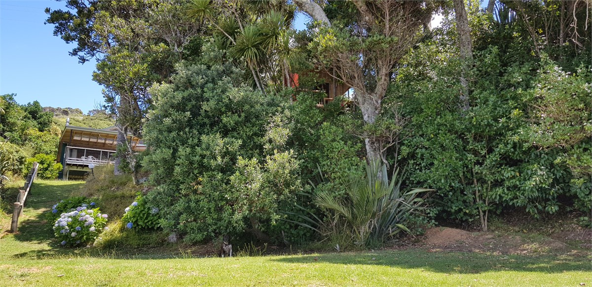 Bach Hut from the beach