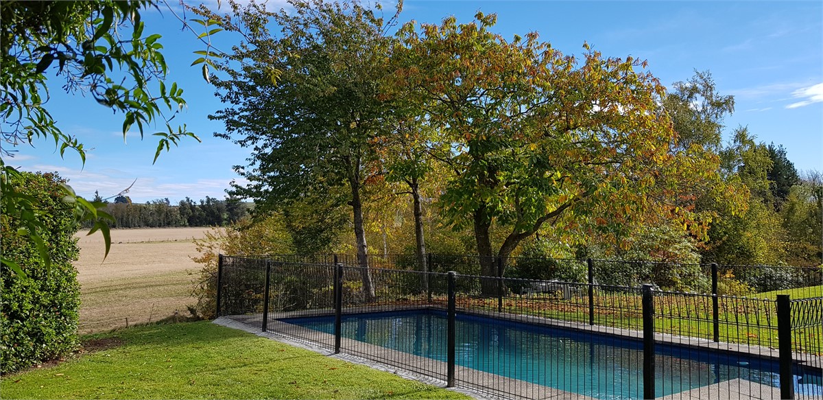 Pool with chestnut behind