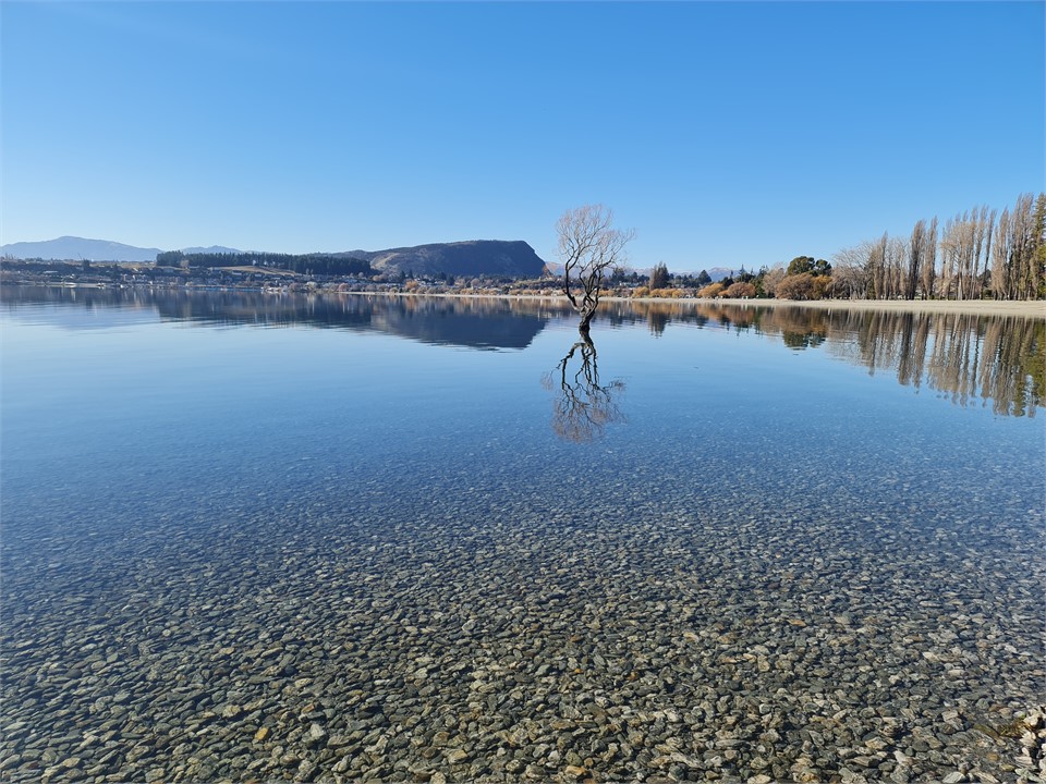 Lake Wanaka, Wanaka Tree and Mt Iron