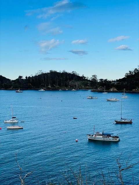 Looking towards Lonnekers Beach