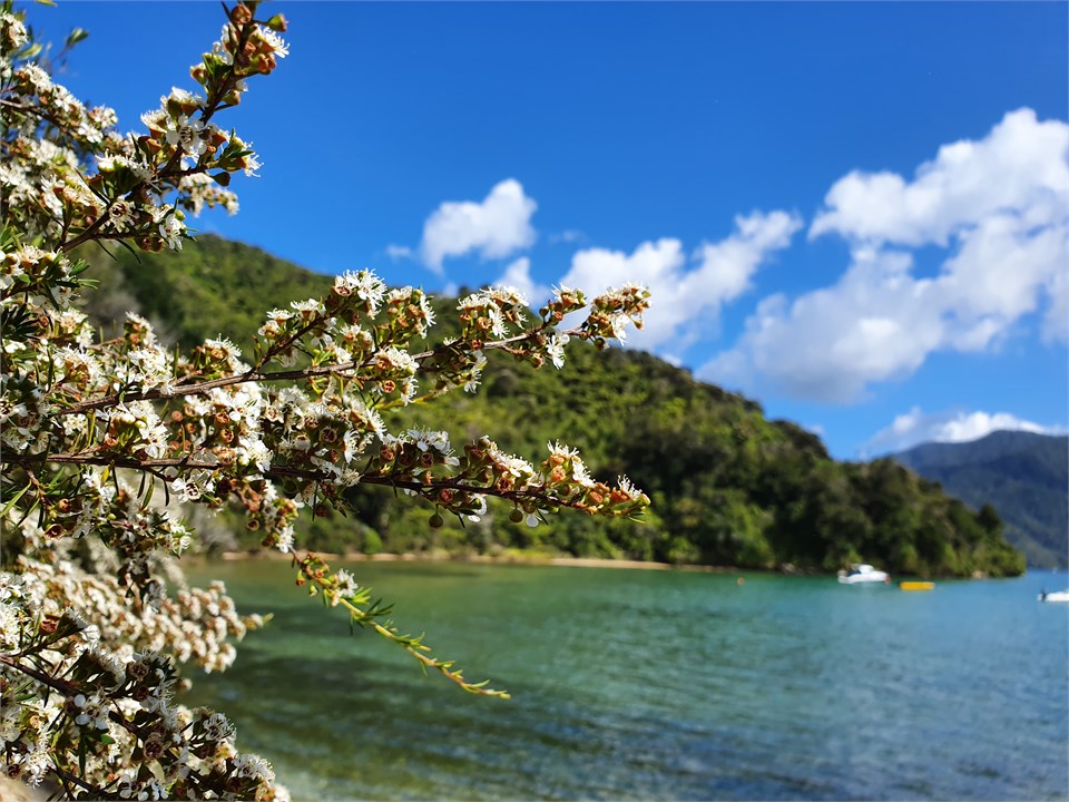 Summer in Ngakuta Bay