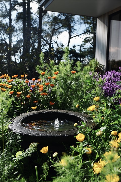 Edible kitchen garden