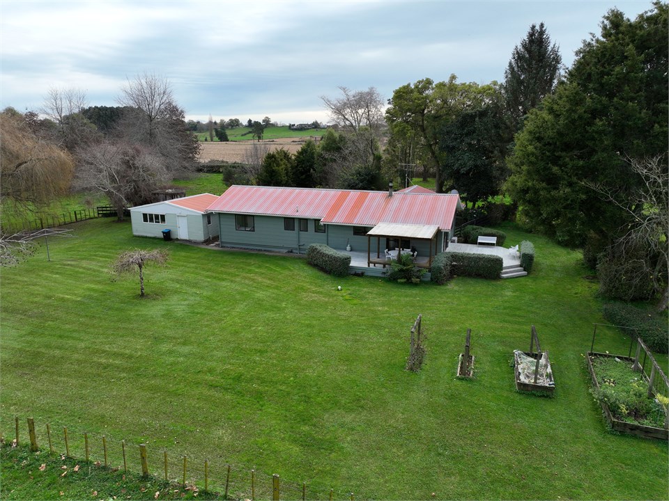 View of the property building and backyard