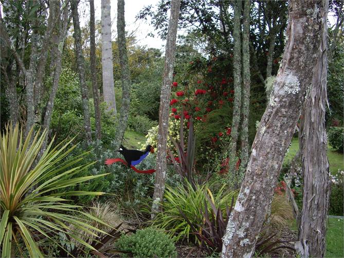 garden surrounding Lodge