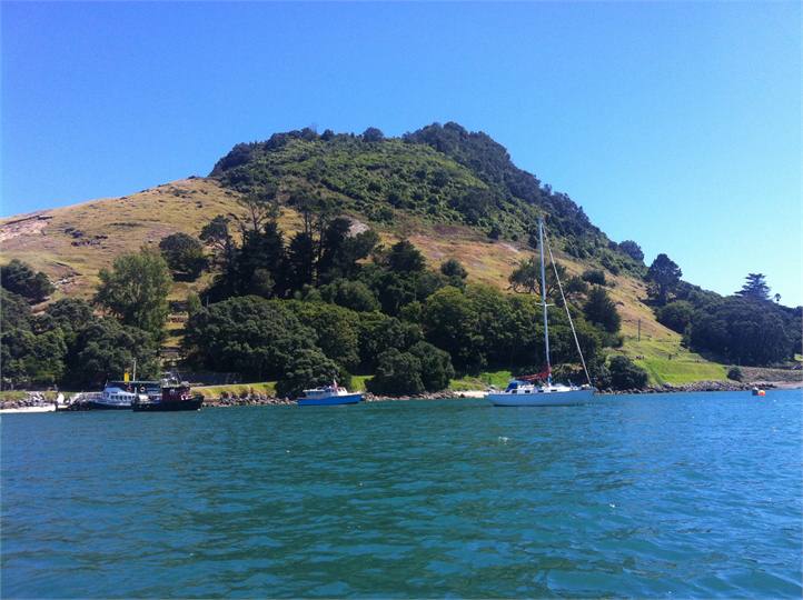 Mount Maunganui harbour