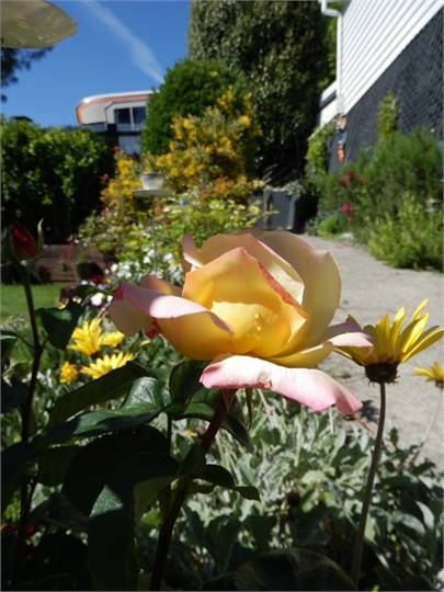 Private access to your apartment through the garde