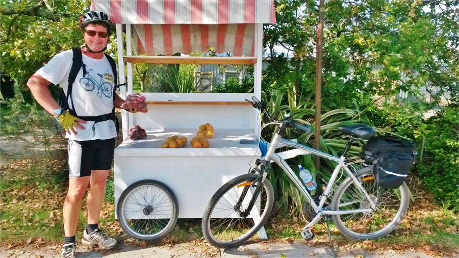 Taste fruit, artisans, beaches, wineries.