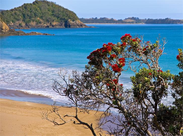 Daisy Bay next to Sandy Bay
