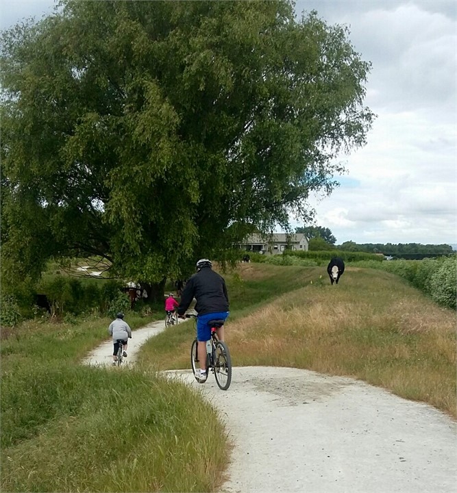 or take in some of the rural atmosphere on the cyc