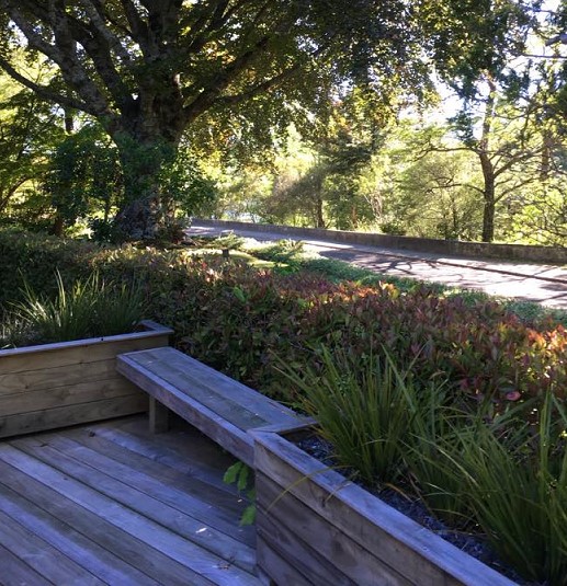 Summer view from the deck