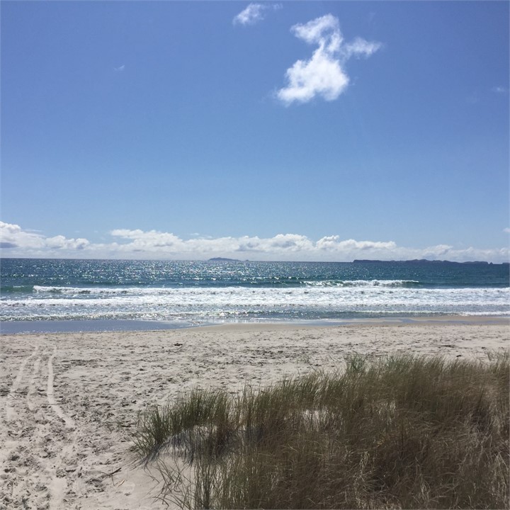Matarangi Beach