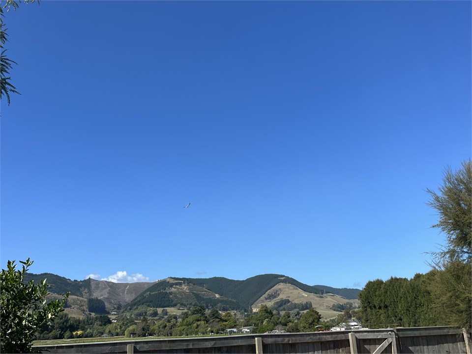 View from Studio at rear