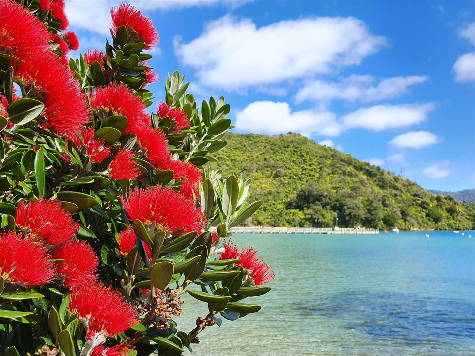 Summer in Ngakuta Bay