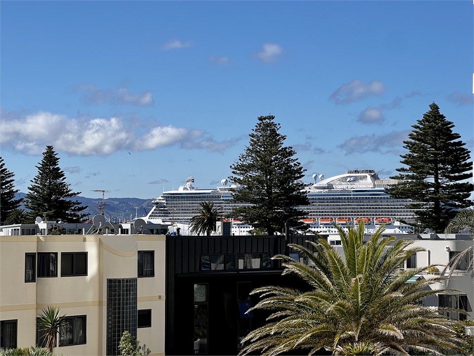 Watch cruise ships coming into port from the deck