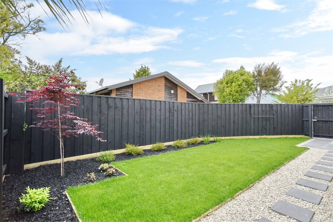 View of the backyard