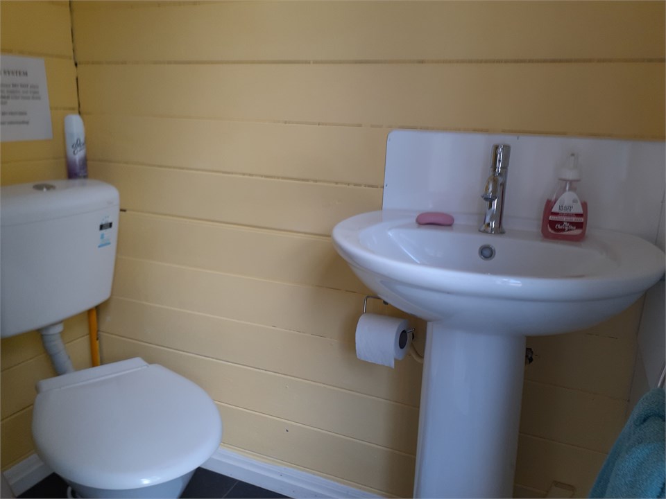 Toilet in shower room