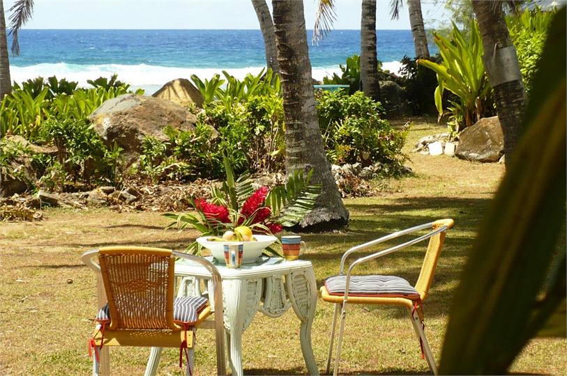 Brunch in the garden