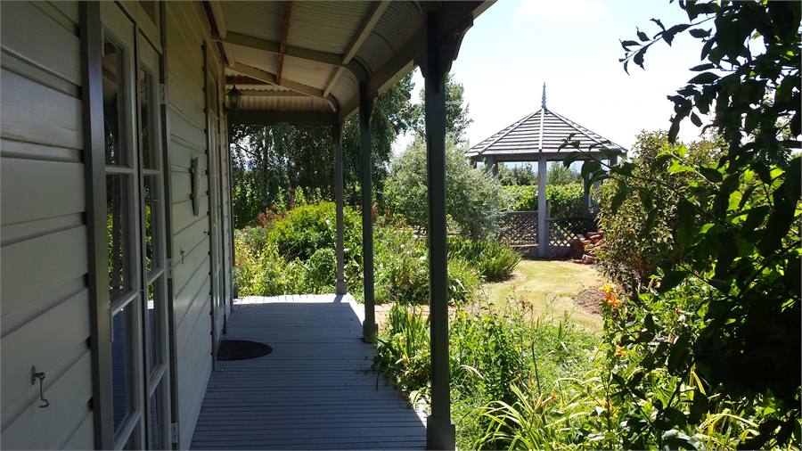 Looking to the pagoda