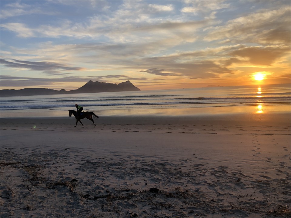 Sunrise action on the beach