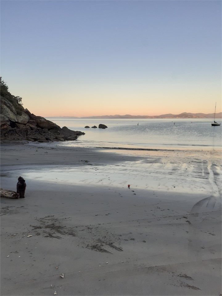 Stephens bay with the tide out looking nth east