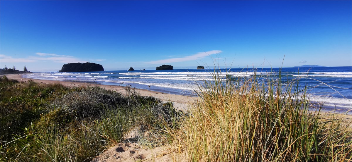 Beachfront Beauty Whangamata for rent Holiday Houses