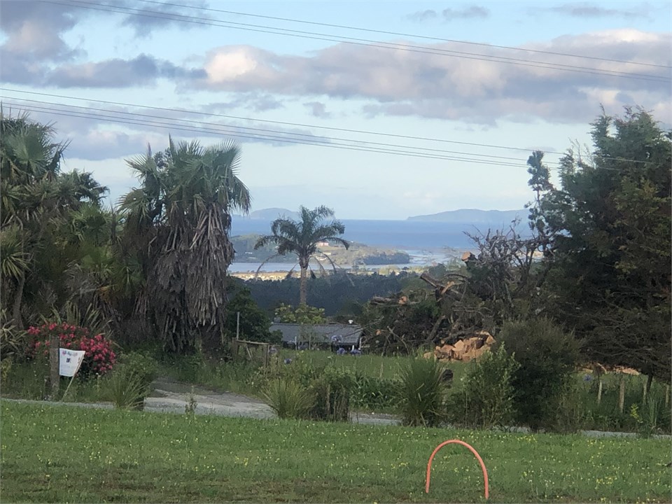 Veiw to hen & Chicken Islands