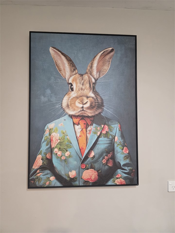 Meet the Mr Rabbit