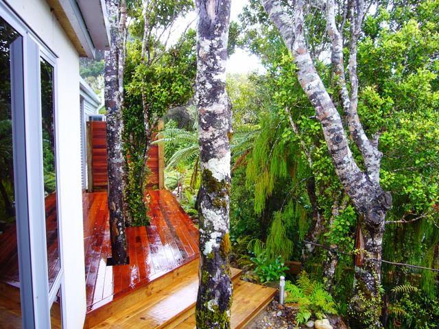 Greenery on rear deck