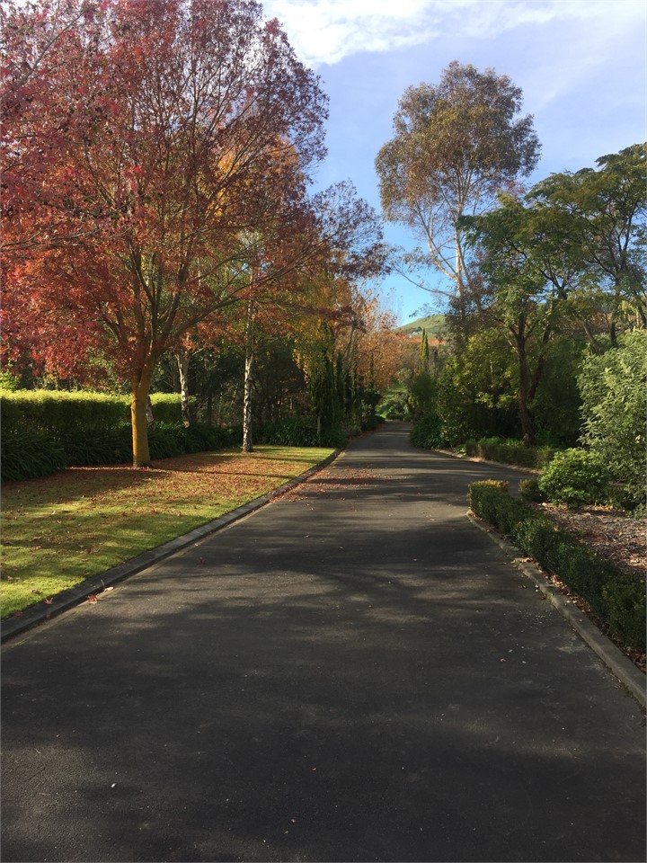 Ambury House Havelock North Apartment for rent Holiday Houses