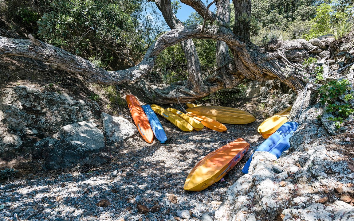 Kayaks at the bottom of Newton