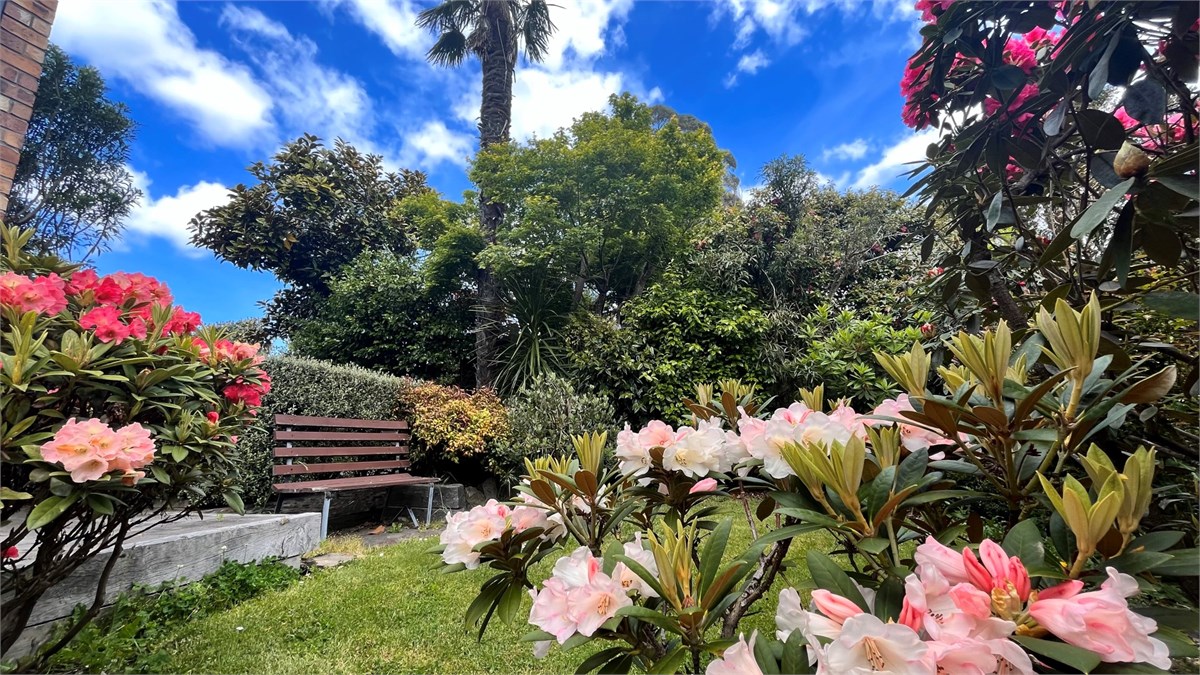 Garden view and seating area