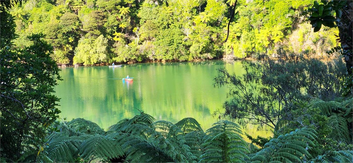 early morning kayak for guests