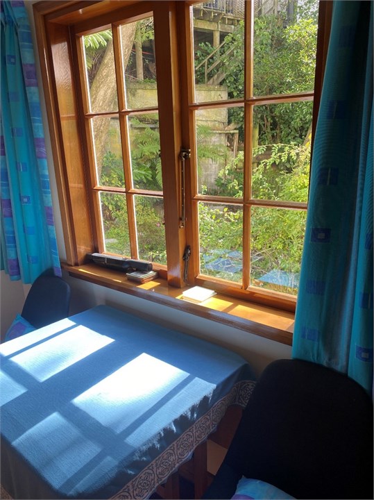 View out kitchen window