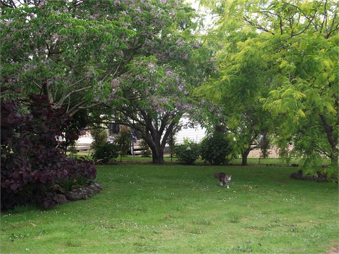 A tranquil setting in a tree studded Garden