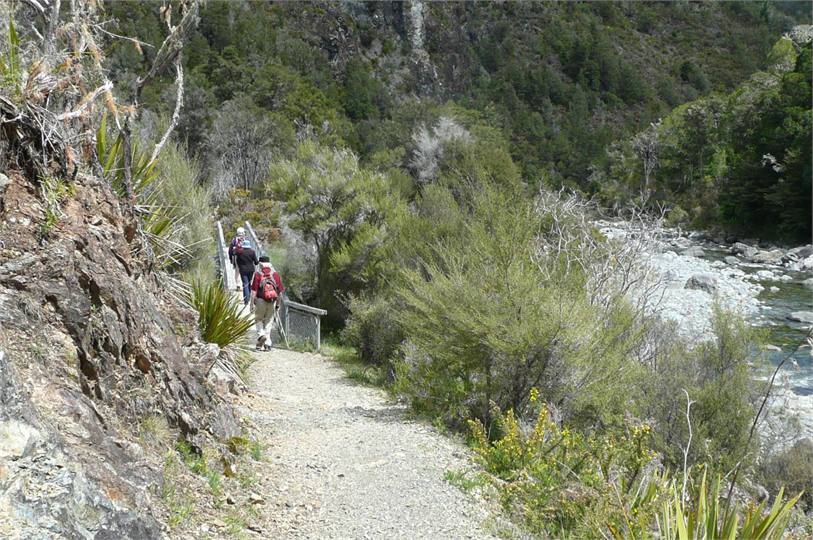 Hiking Whispering Falls trail