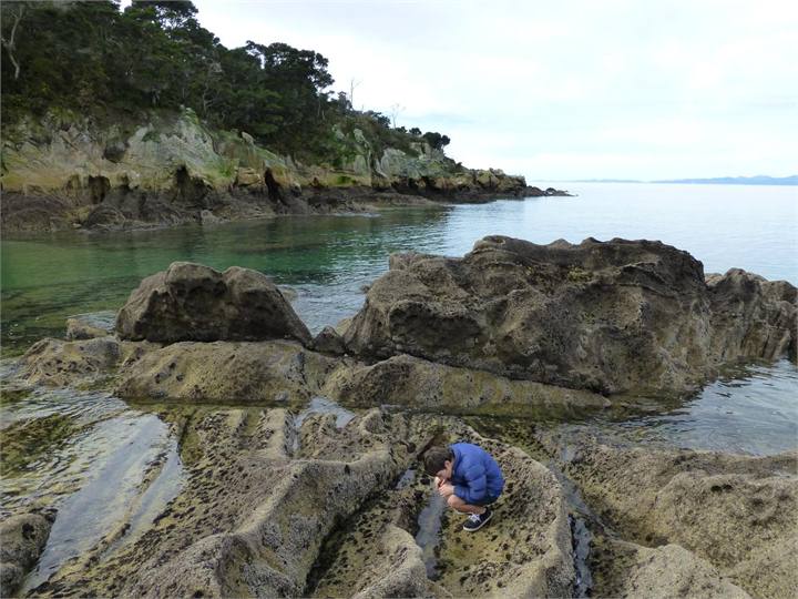 Beautiful Dummy Bay a short walk away