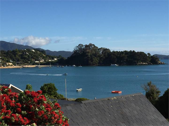 View from deck with nature in full bloom
