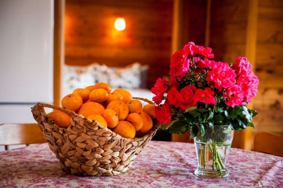 enjoy our fresh organic oranges