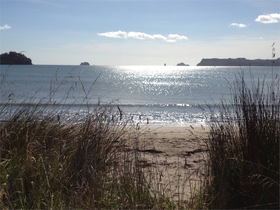 Bropheys Beach - Whitianga