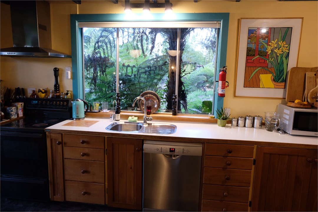 Kitchen to fern garden