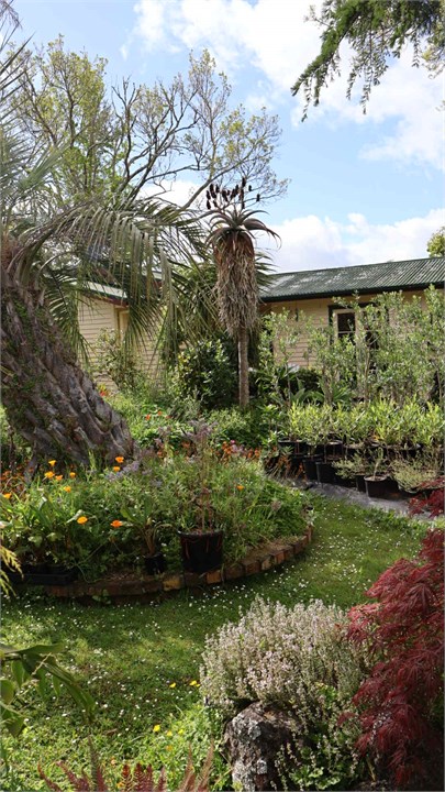 Garden to cottage view