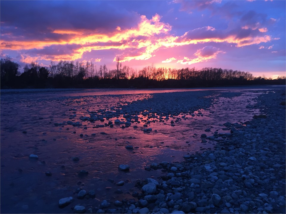 Walk/cycle the Greytown trail by the Waiohine Rive