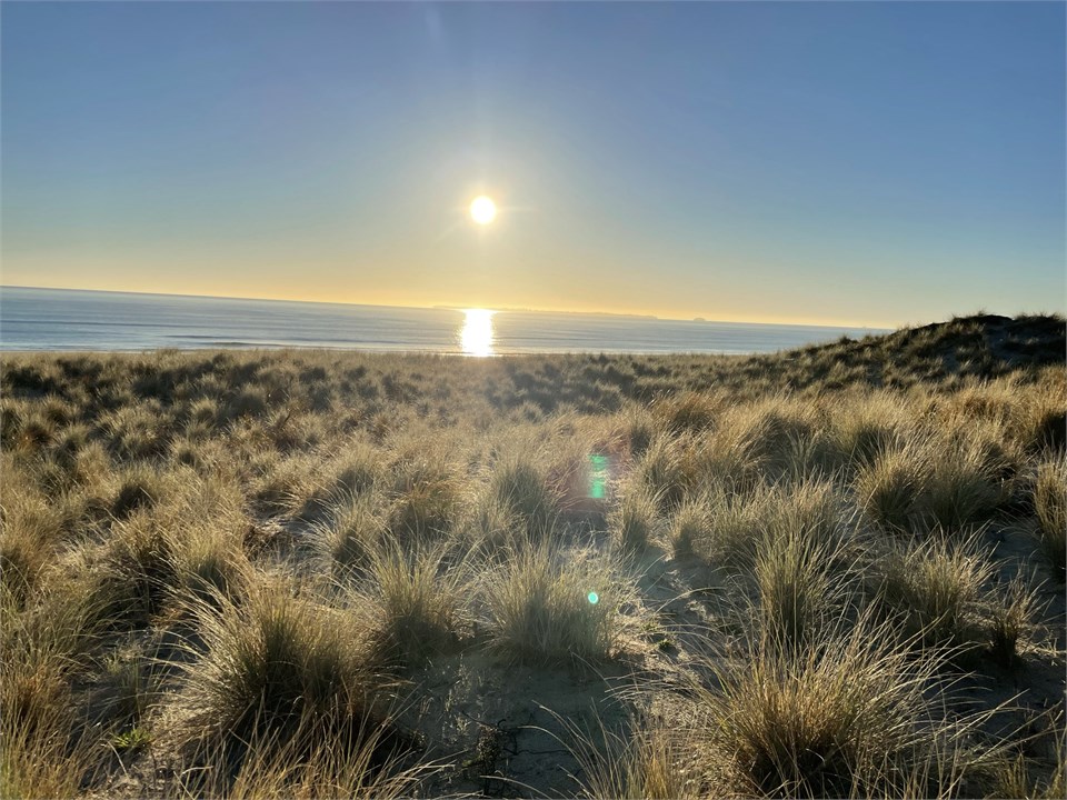 View as you walk along the beach access