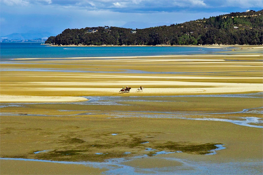 Golden Sands of Spectacular Marahau
