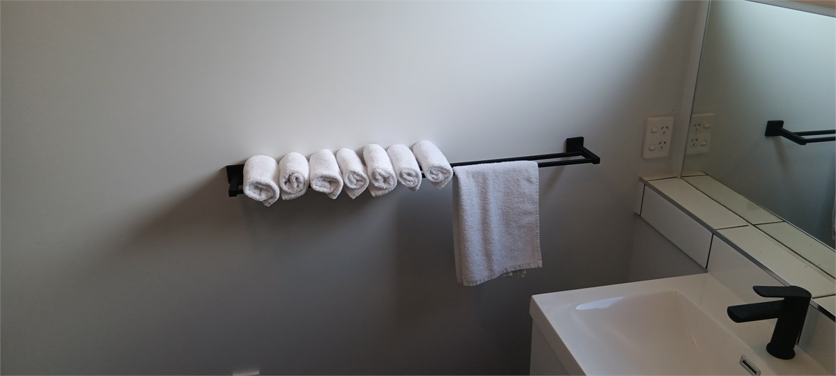 Bathroom 1 (Shower and Hand Basin only)