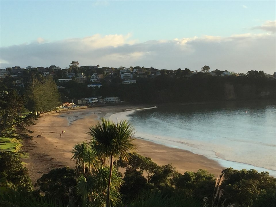 Coastal walkway - Browns Bay Beach